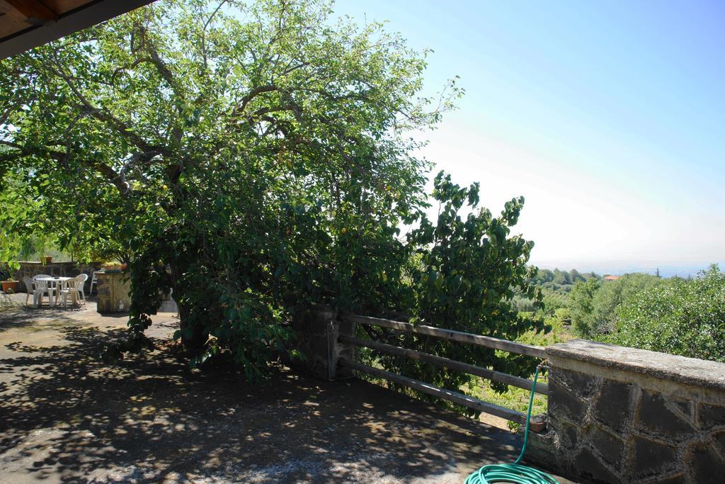 Etna Paradise Locazioni Brevi Villa Ragalna Eksteriør bilde