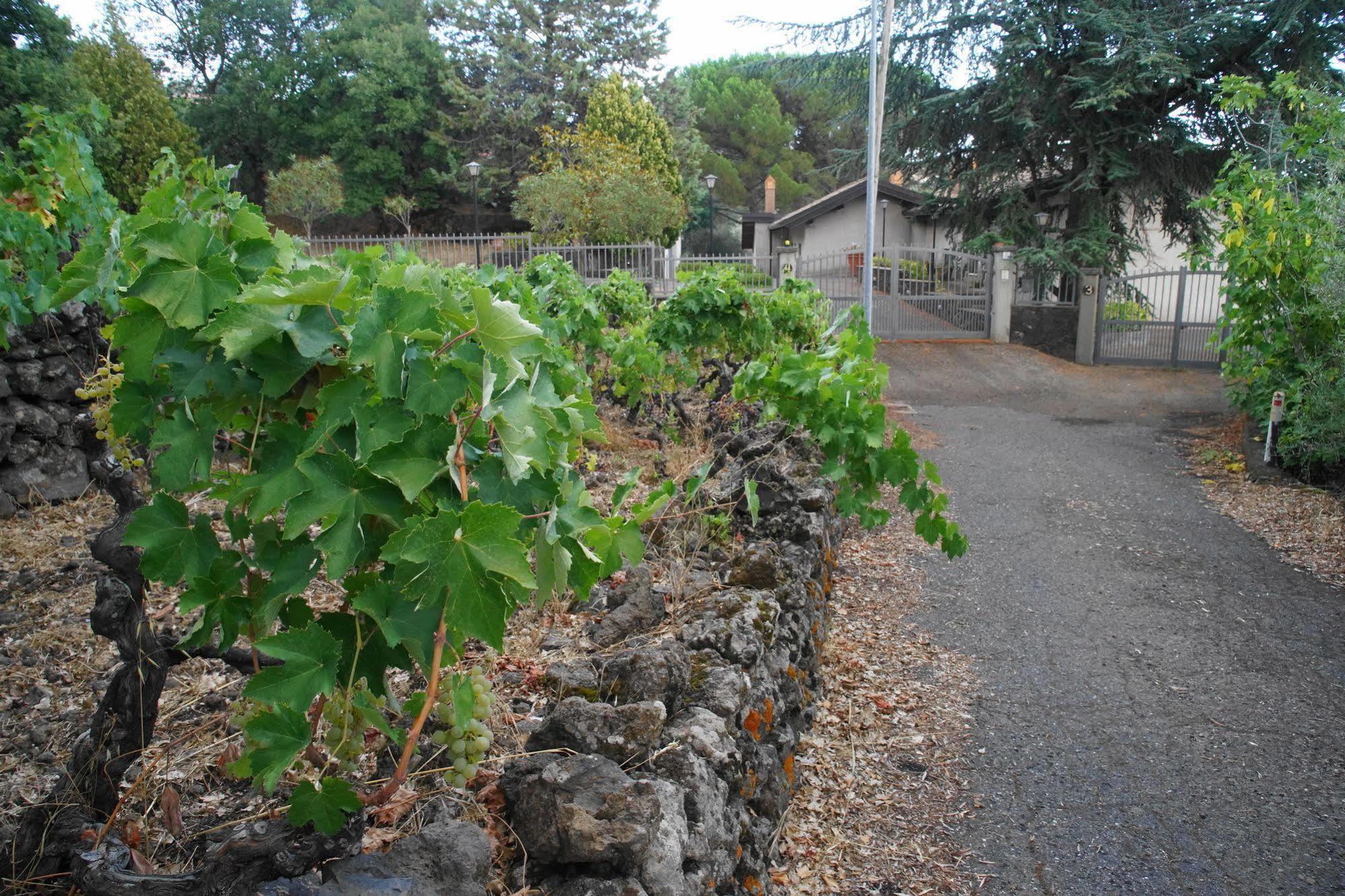 Etna Paradise Locazioni Brevi Villa Ragalna Eksteriør bilde